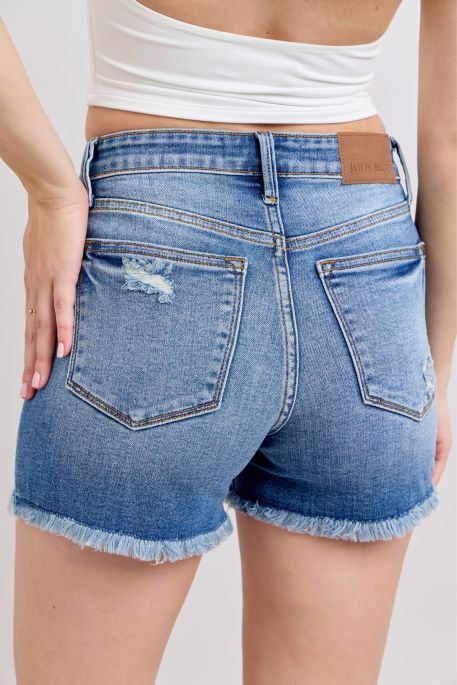 Judy Blue Shawn Shorts