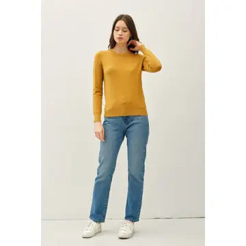 Gloria New Color-Viscose Crew Neck Soft Knit Sweater